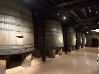 Jak wygląda proces produkcji wina: od zbioru winogron do butelkowania Wina wymagają sprawnej