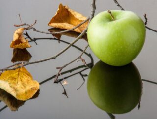 Jak zwalczać szkodniki atakujące jabłonie