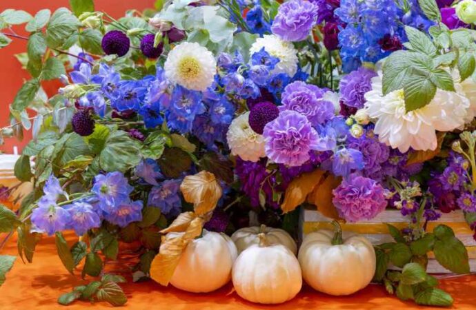 Najpiękniejsze kwiaty jesiennego ogrodu: Marcinki, michałki i astry bylinowe