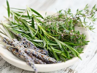 Dlaczego warto sięgać po zioła?