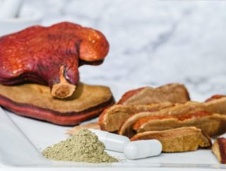 Chińska medycyna naturalna w zasięgu ręki, czyli o niezwykłych właściwościach tajemniczego grzyba