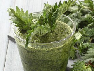 Jakie właściwości lecznicze ma sok z pokrzywy? Dlaczego warto go stosować?