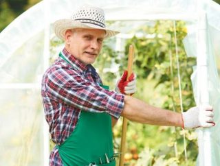 Szklarnia ogrodowa ze szkła, folii czy poliwęglanu – wady i zalety?