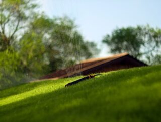 5 rzeczy, które warto wiedzieć o automatycznym podlewaniu trawników