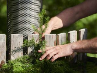 Jak zrobić samodzielnie ogrodowy plot z drewna?