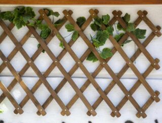 Podpory pod pnącza – kratki dla skutecznego wsparcia roślin pnących